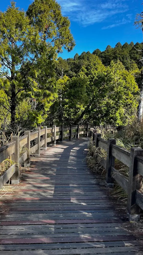 🌿台灣海拔最高湖泊秘境！翠峰湖健行、生態觀察與四季絕景一次看