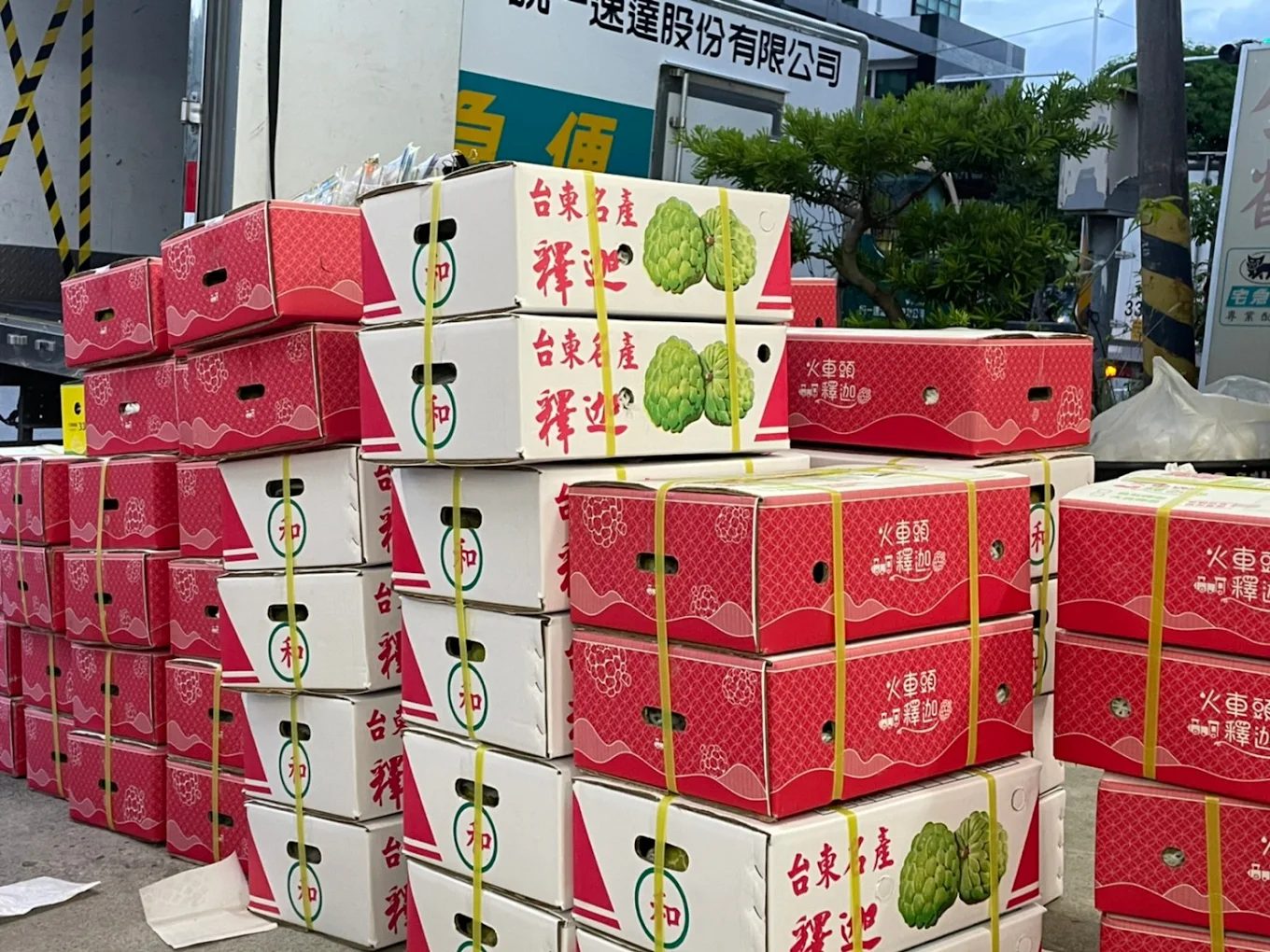 探索台東的必買伴手禮｜五大人氣店家推薦，從傳統糕點到創意名產一次帶走！