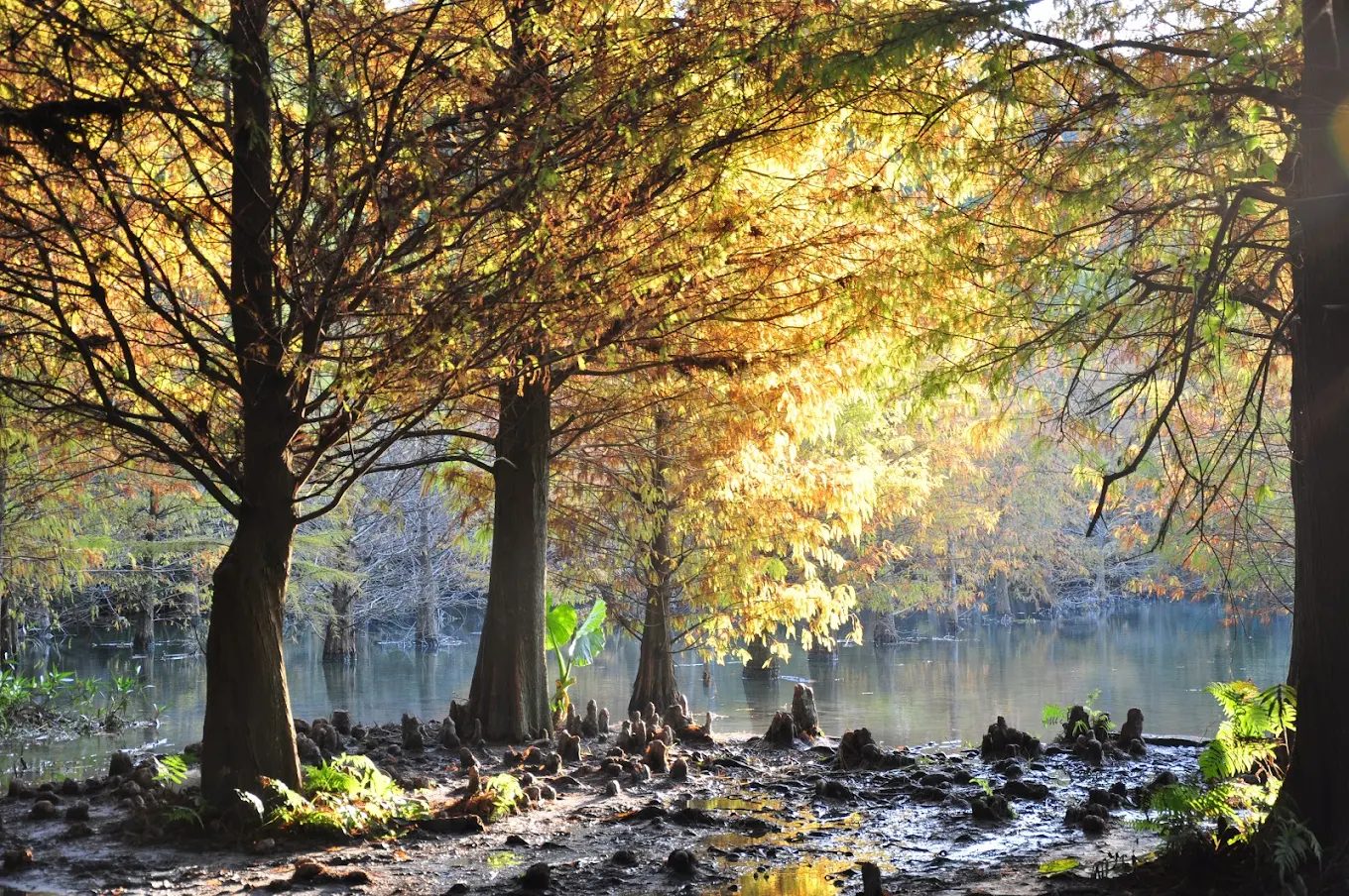 台灣感性秘境｜5個讓你一秒心動的隱世好景