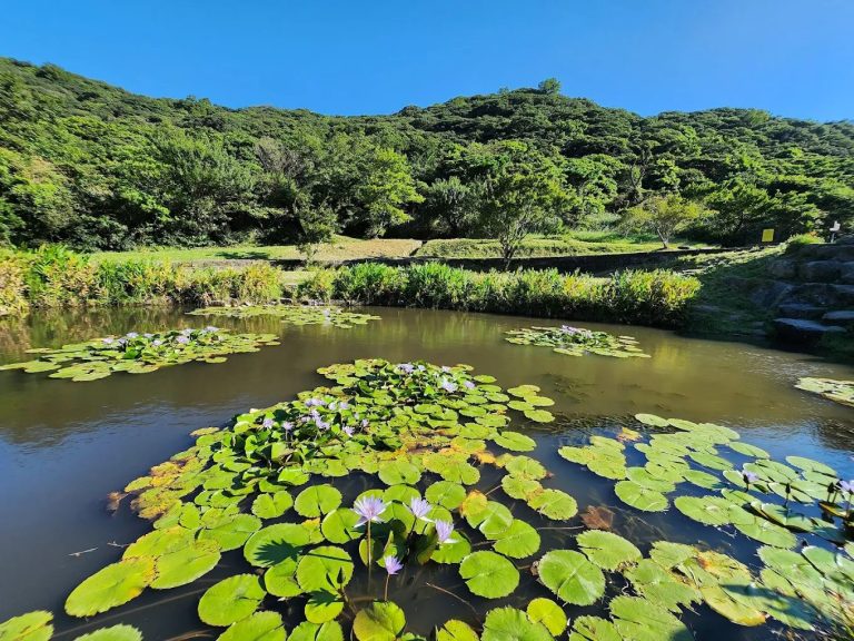 台灣最值得去的地方：5大旅遊必訪景點介紹