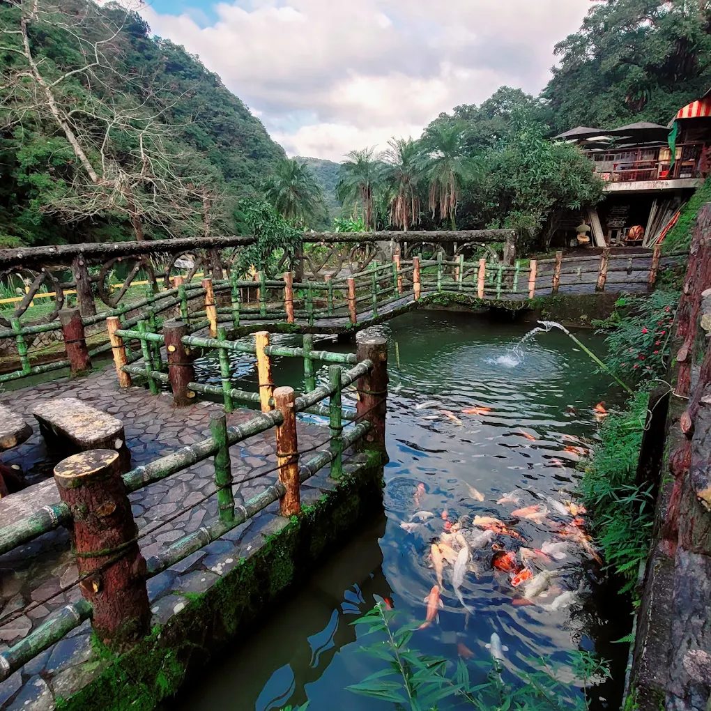 旅遊景點探索：墾丁國家公園、陽明山國家公園、十分瀑布、彩虹村與九份老街的最佳攻略