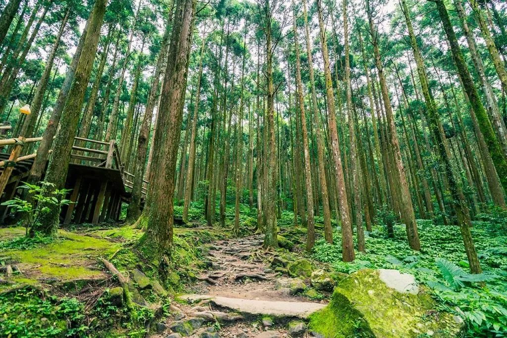 探索台灣好玩的地方：5個必訪景點與活動