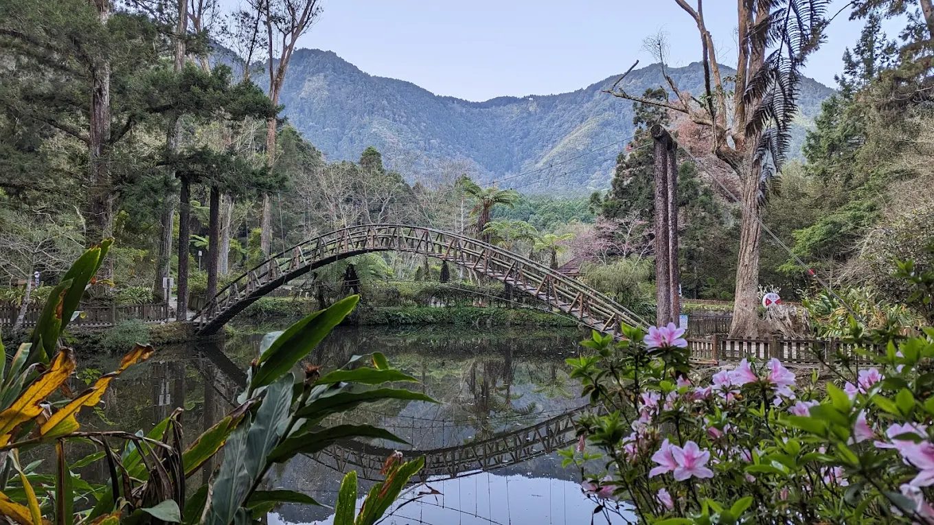 🌲 南投旅遊必訪：探索溪頭自然教育園區及周邊五大景點