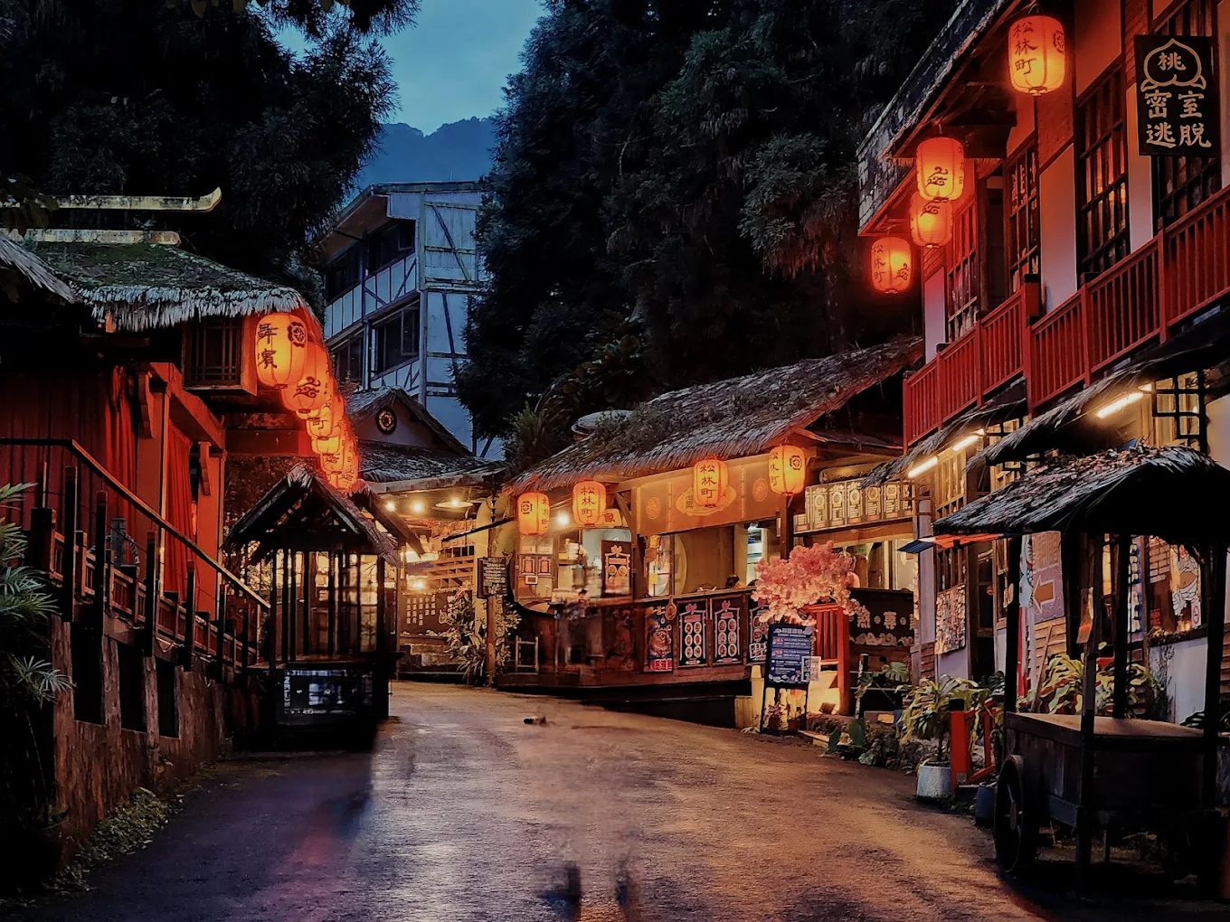 🌲 南投旅遊必訪：探索溪頭自然教育園區及周邊五大景點