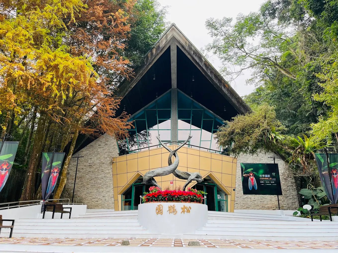🌲 南投旅遊必訪：探索溪頭自然教育園區及周邊五大景點