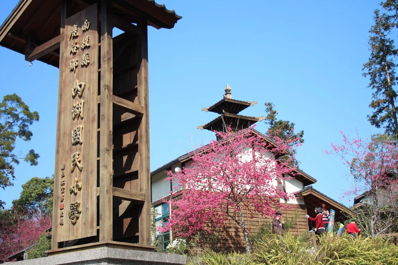 🌲 南投旅遊必訪：探索溪頭自然教育園區及周邊五大景點