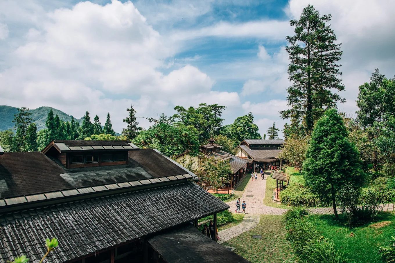 🌲 南投旅遊必訪：探索溪頭自然教育園區及周邊五大景點