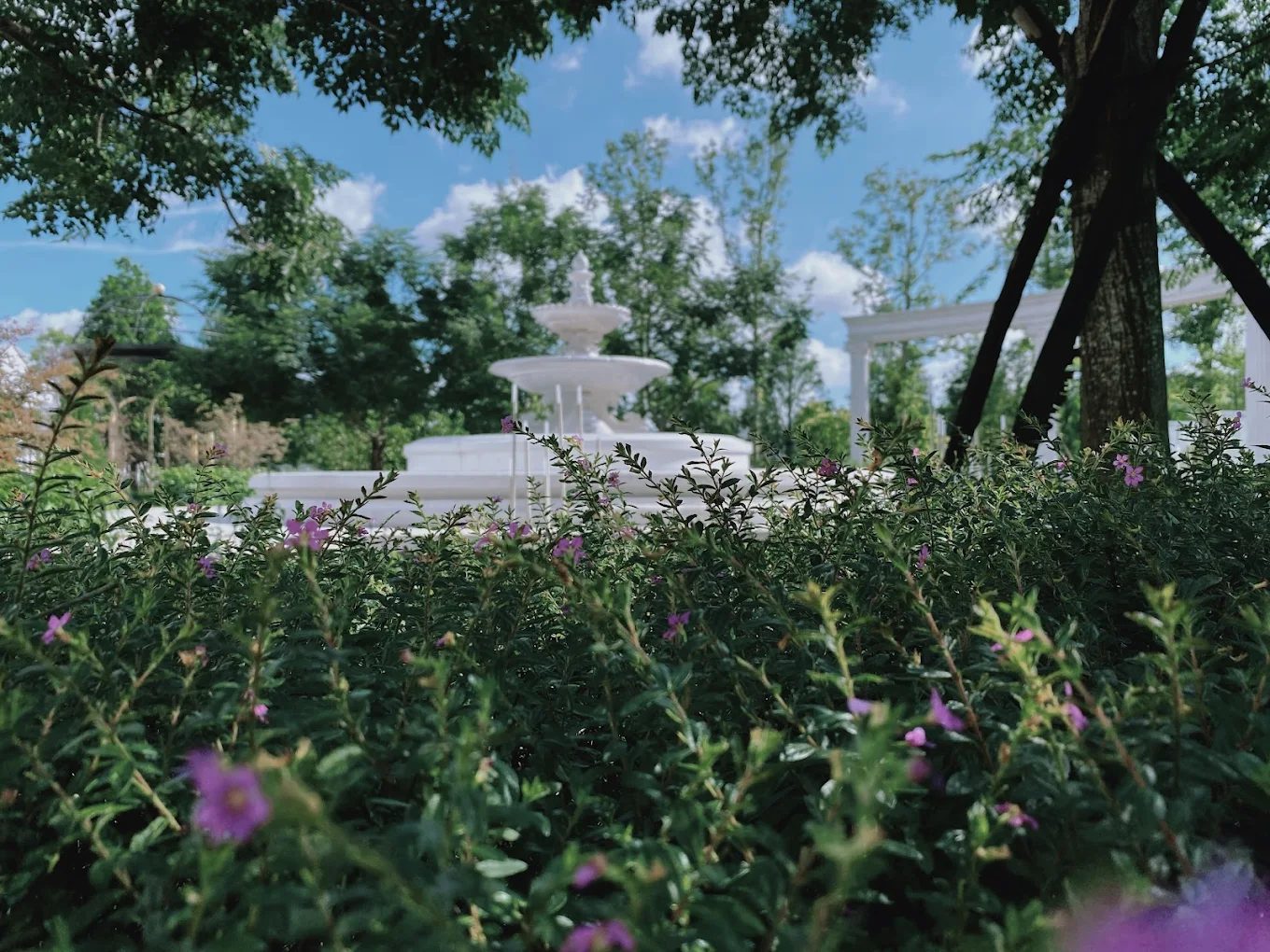 蓋婭莊園一日遊｜嘉義最夢幻純白園區，沉浸在希臘神話與花園藝術的世界
