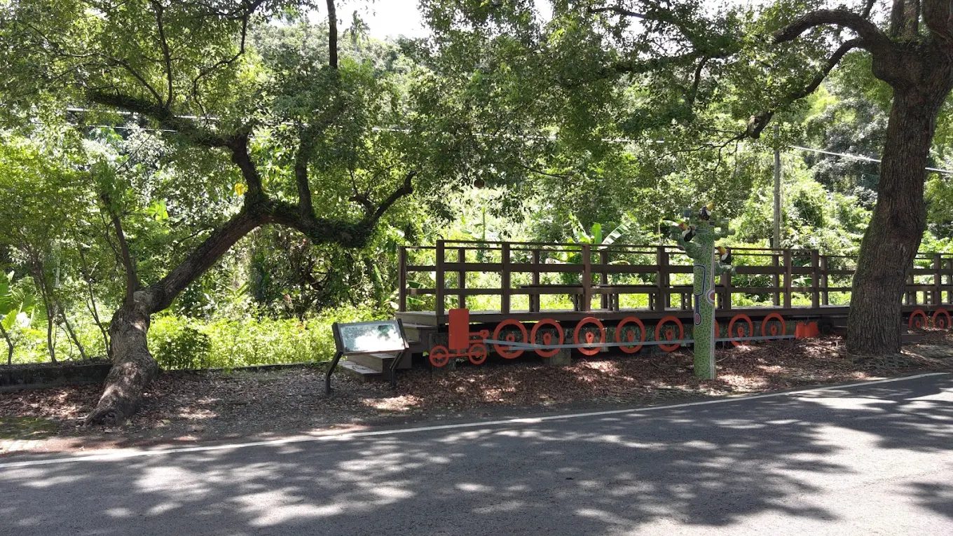 綠色隧道的奇妙之旅：探索台灣五大綠色隧道景點