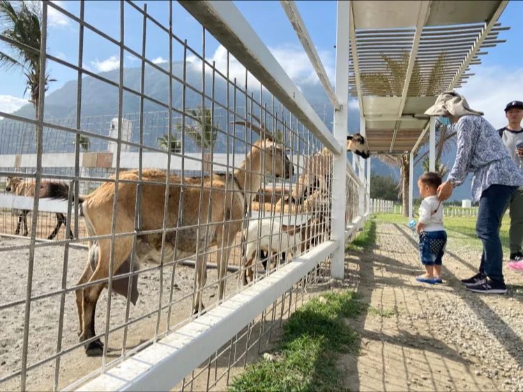【花蓮秀林景點】崇德瑩農場一日遊攻略:親子採果、動物互動、農場餐廳、住宿一次看!