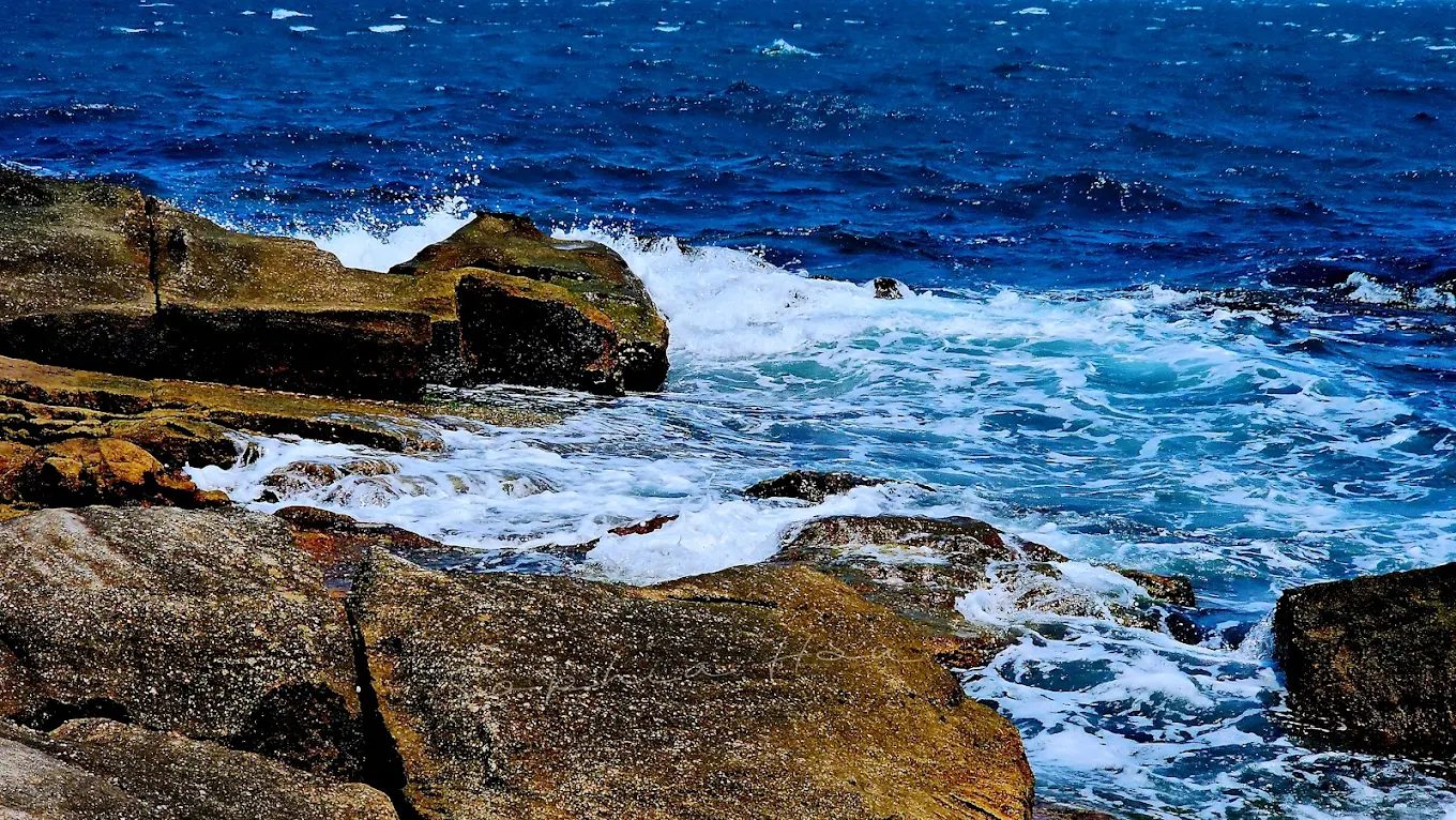 金山景點：探索絕美風景的五大必訪地點