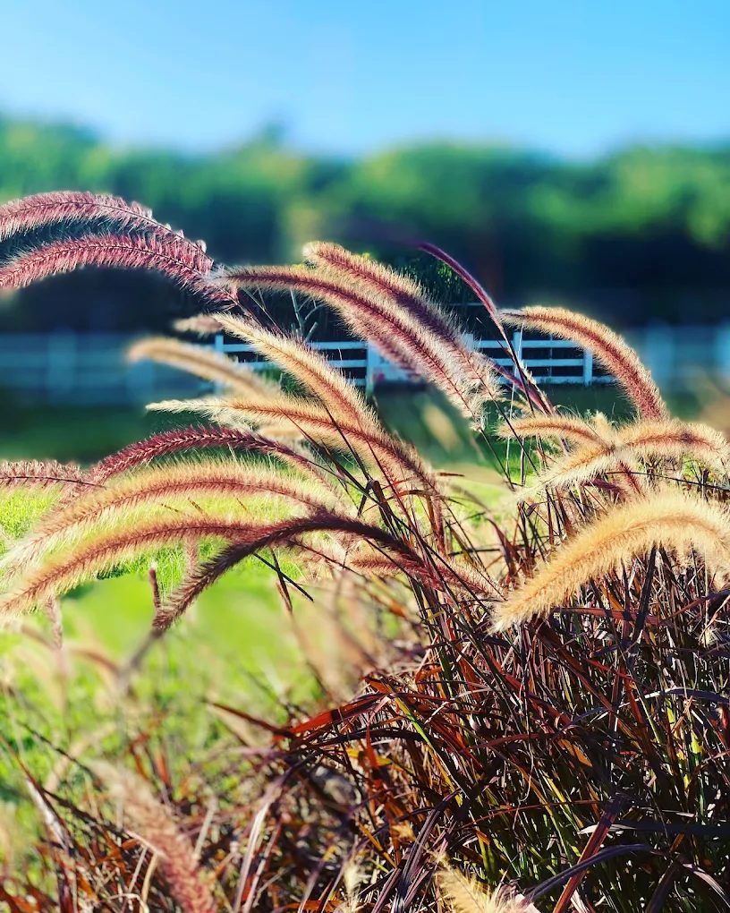 花蓮一日遊：精選5大必訪景點與活動