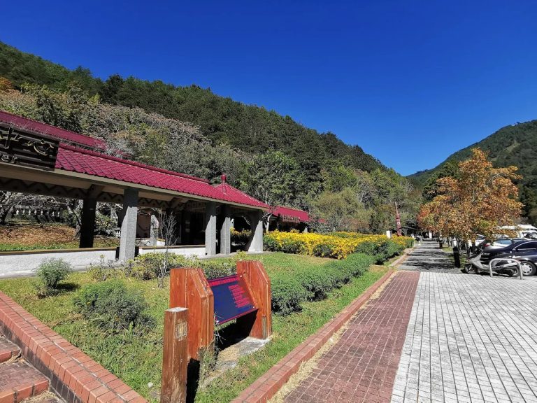 武陵農場：探索台灣隱藏的自然美景與多元活動