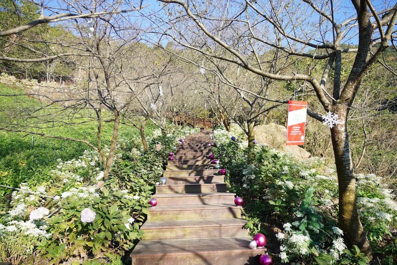 🌸台中農場一日遊推薦：休閒農園春季親子玩法懶人包
