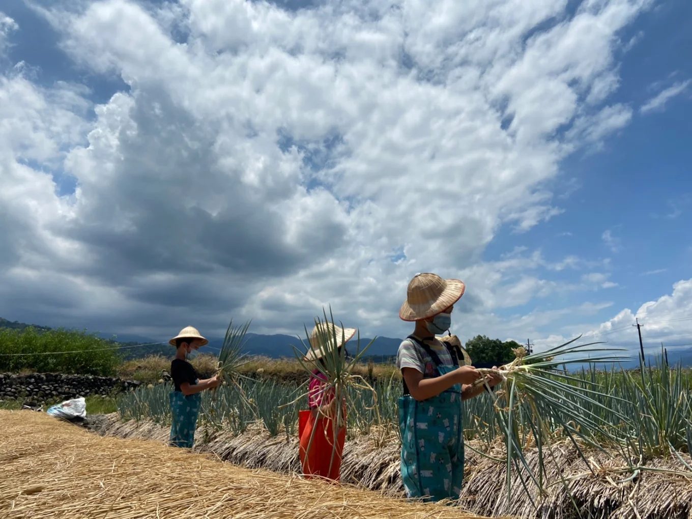 宜蘭農場的魅力 | 打造親子共遊的完美行程