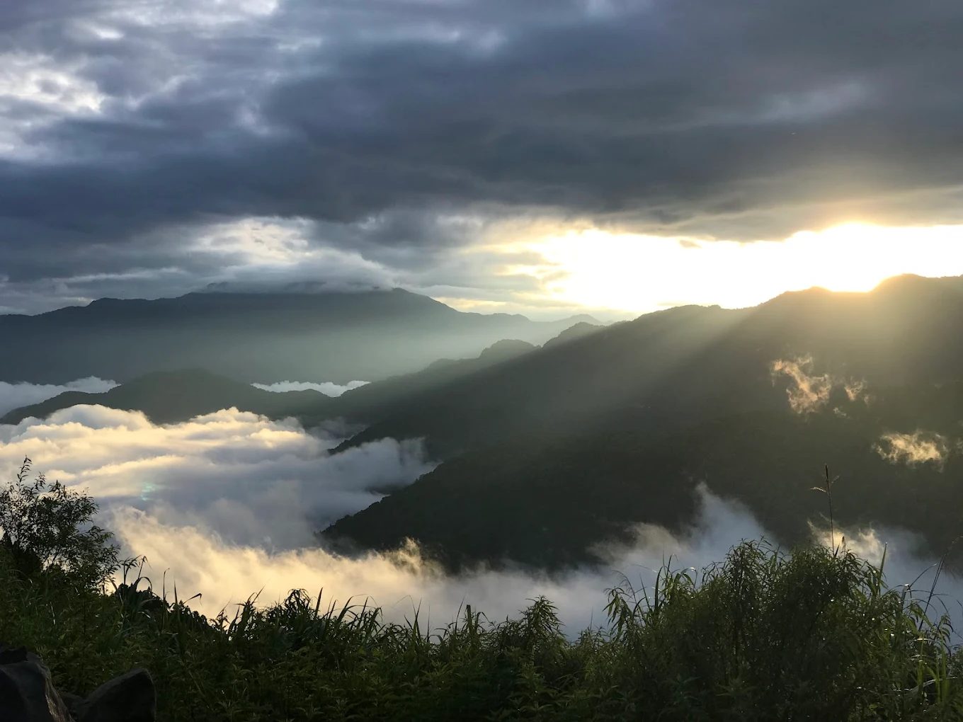 特富野古道：探索台灣最美健行路線的5大秘訣