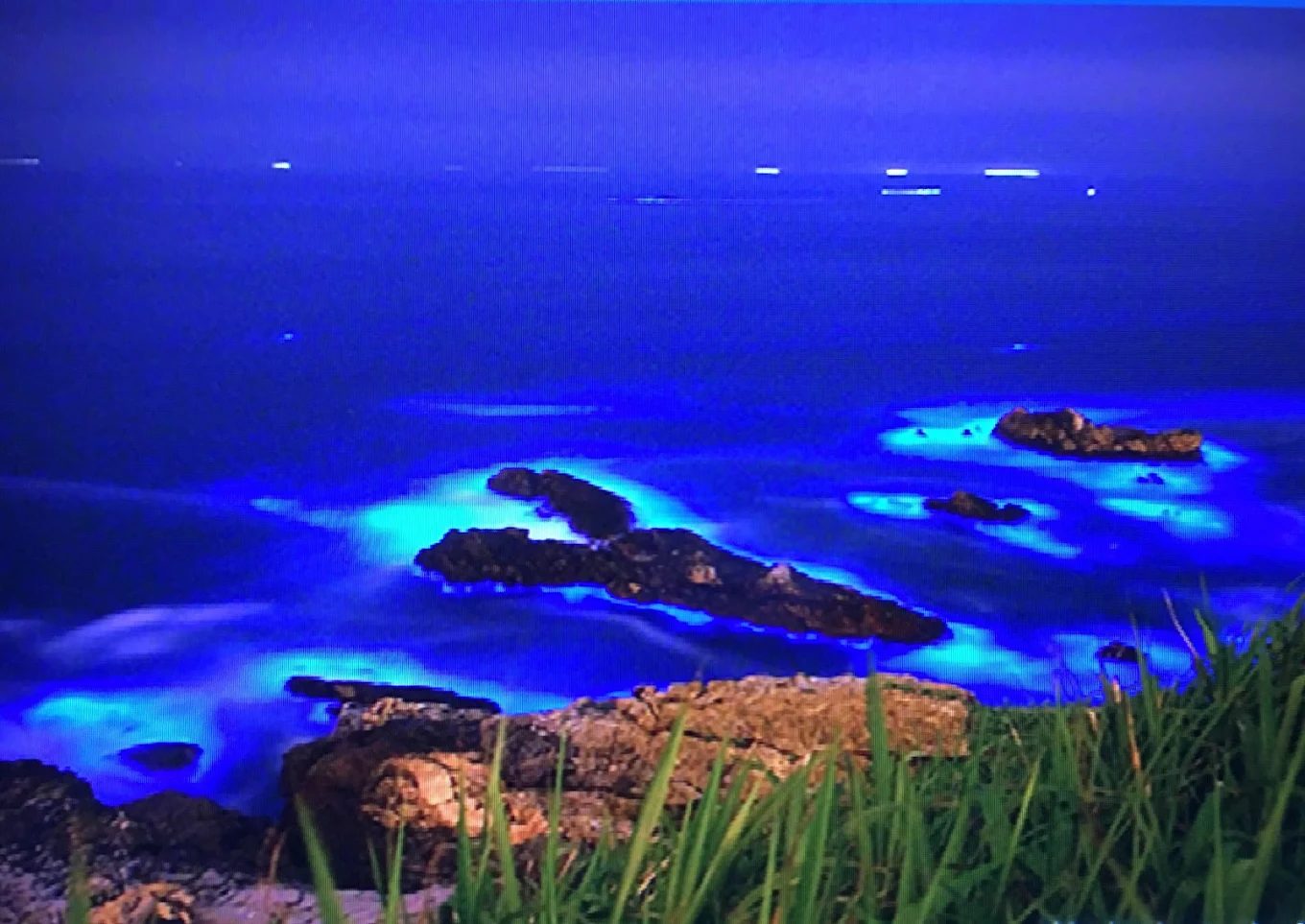 藍眼淚：探索台灣美麗生態與旅遊秘境