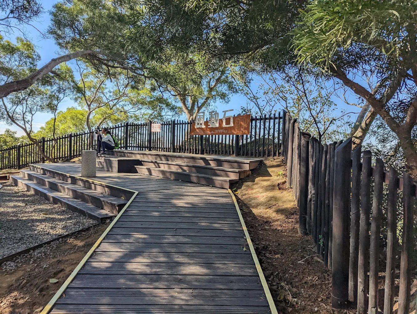 台中大坑八號登山步道｜親子健行首選，一起走進風動石的綠意世界！