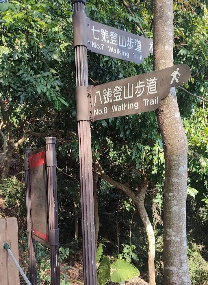 台中大坑八號登山步道｜親子健行首選，一起走進風動石的綠意世界！