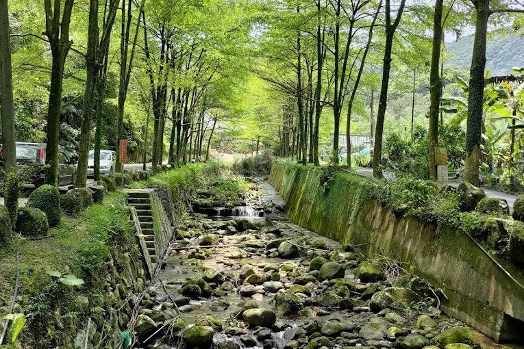 星野之森大賞|感受都市邊的自然奢華與寧靜生活