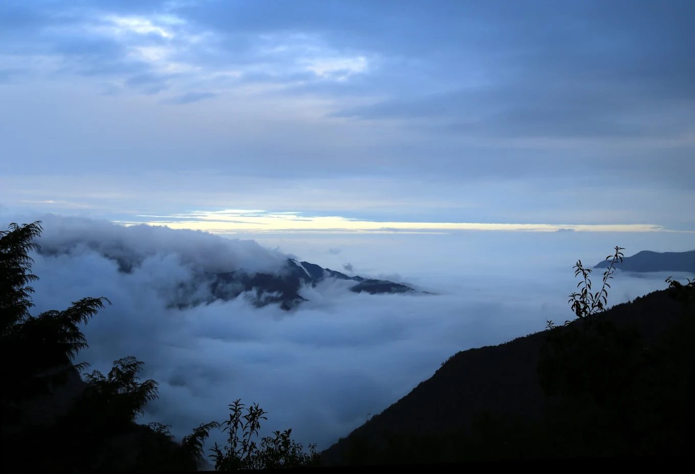 阿里山賓館的極致享受｜探索絕美觀景平台與周邊景點
