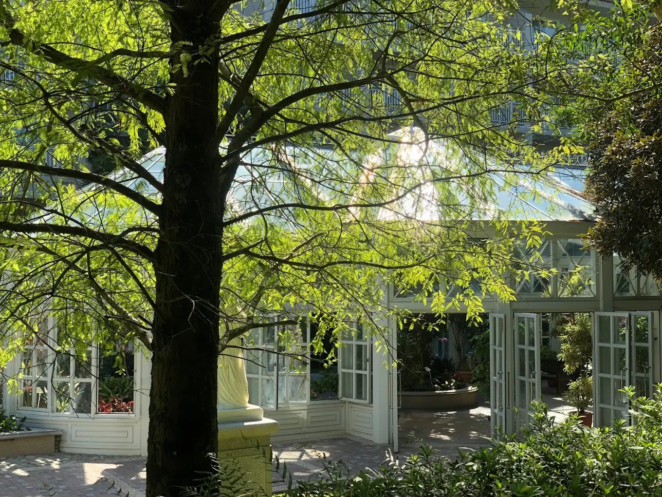 花蓮遠雄悅來大飯店|全方位豪華體驗之旅你不能錯過