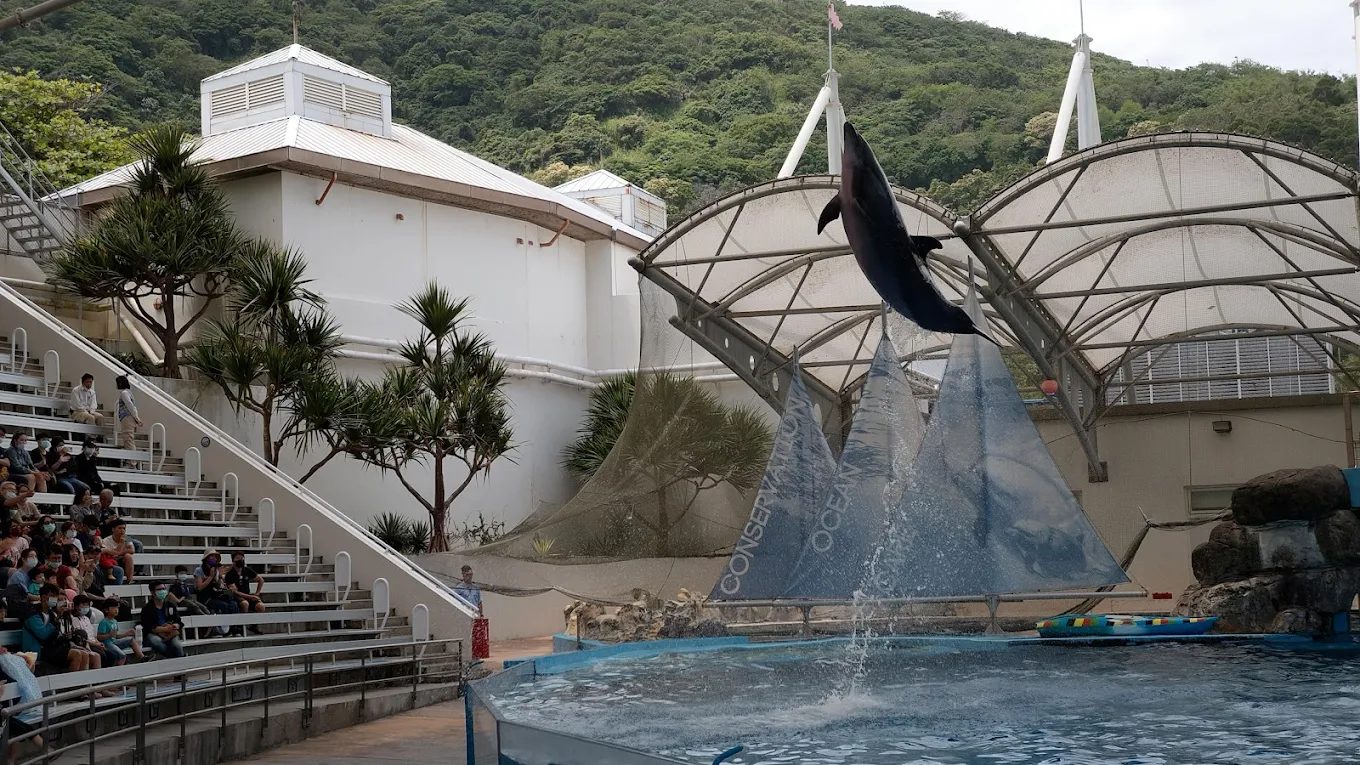 花蓮遠雄海洋公園攻略｜5大必玩設施＋園區美食一次掌握