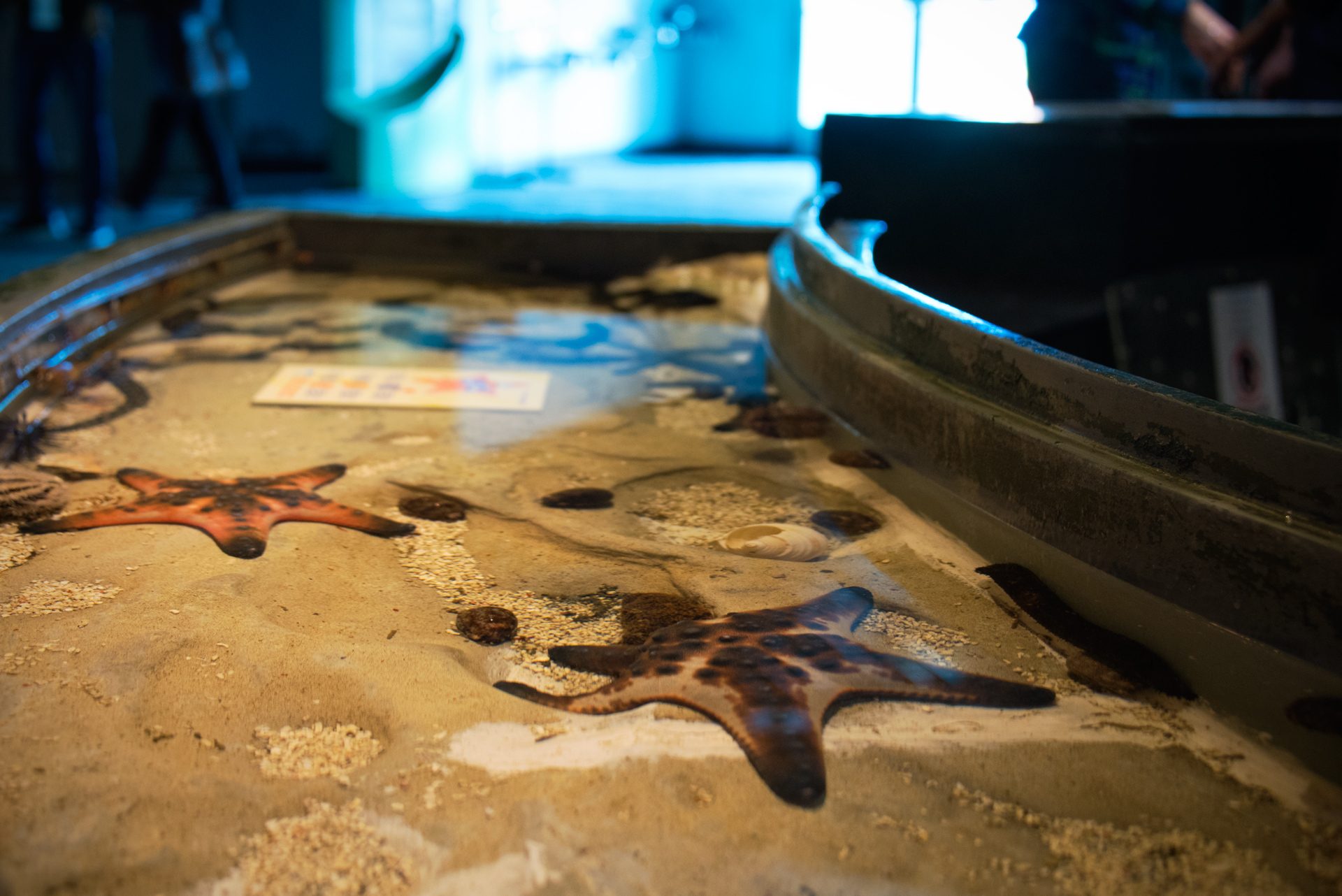 探索屏東海生館|親子同遊的最佳選擇