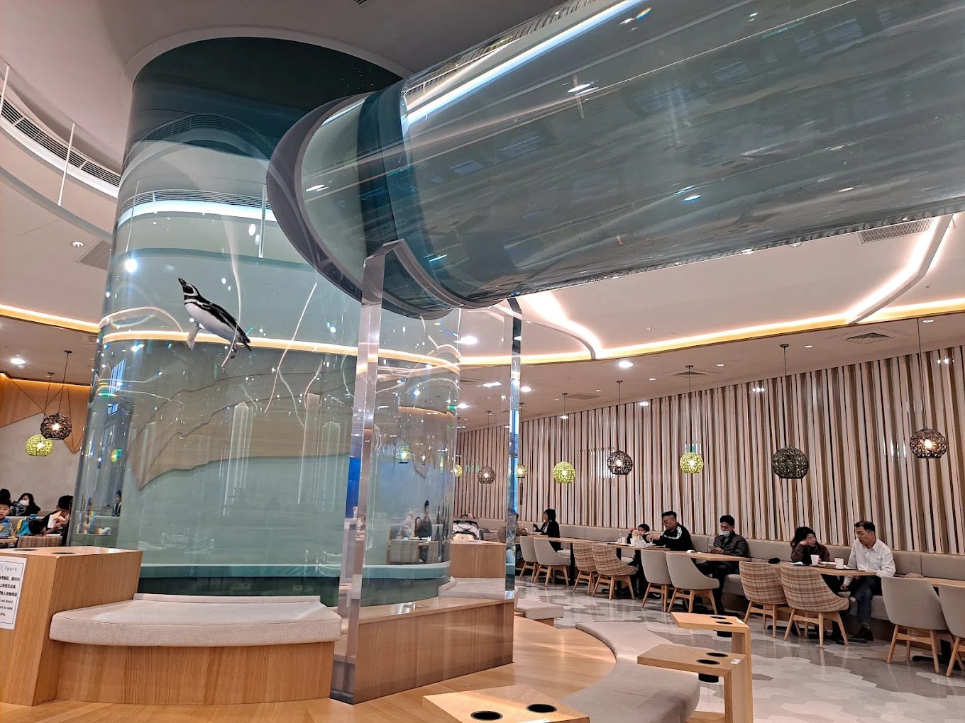 Xpark 桃園水族館｜沉浸式海洋奇幻之旅