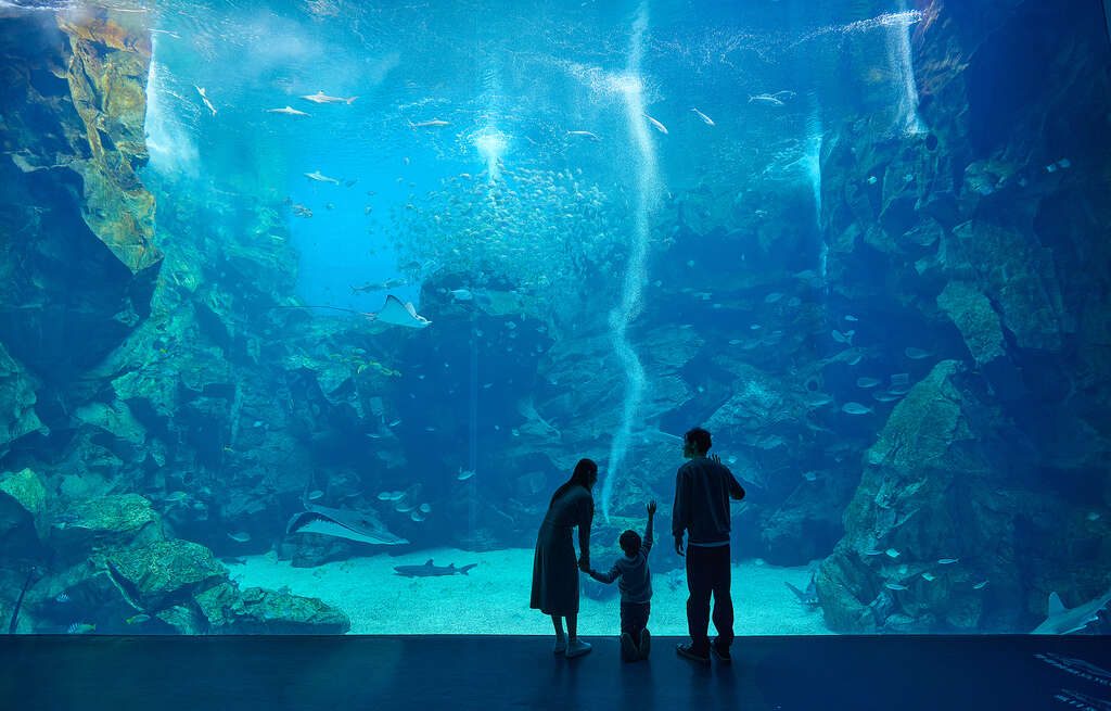 Xpark 桃園水族館｜沉浸式海洋奇幻之旅