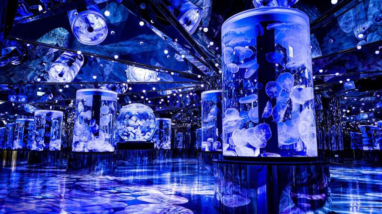 Xpark 桃園水族館｜沉浸式海洋奇幻之旅