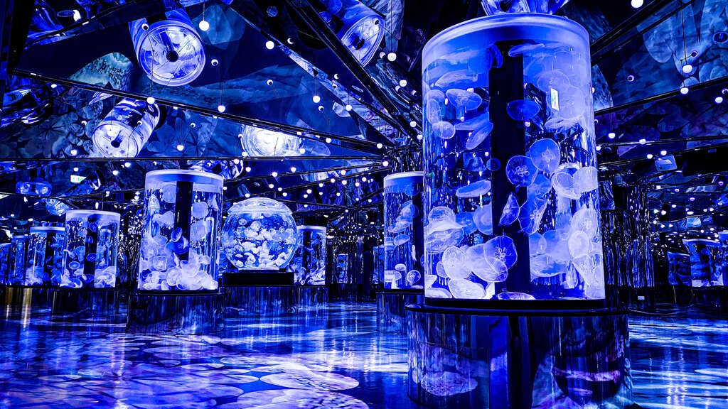 Xpark 桃園水族館｜沉浸式海洋奇幻之旅