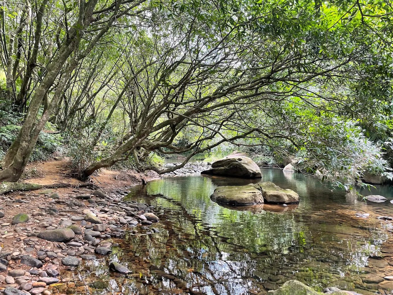 🌿虎豹潭一日遊全攻略：溪谷戲水、親子露營、步道健行一次搞定！