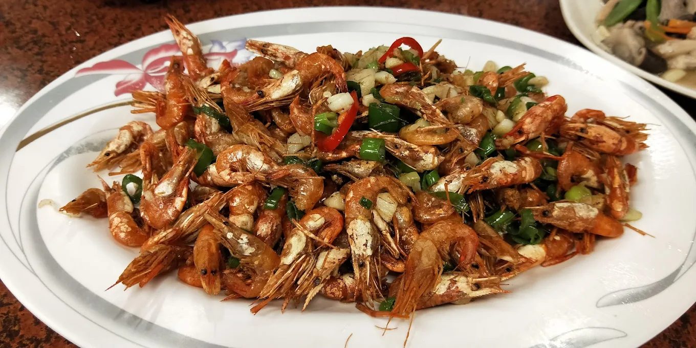 阿里山火車攻略｜探索台灣絕美山林的最佳交通方式