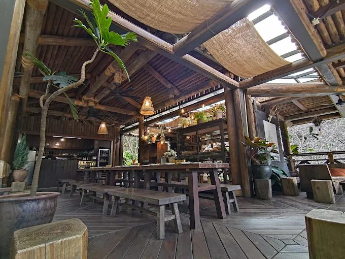 台灣山上走走｜必訪阿里山日出、合歡山花卉秘境與 HANA 廚房美食攻略 