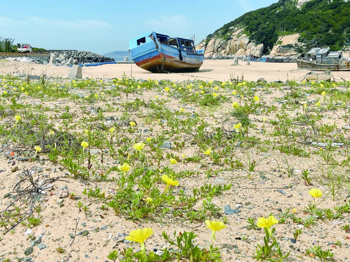 馬祖不是只有藍眼淚:南北竿,把戰地變成療癒海島