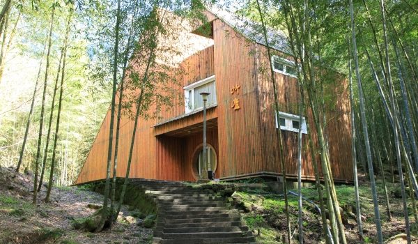 走進宮崎駿動畫場景:溪頭森林遊樂區攻略,從螢火蟲到神木的奇幻旅程