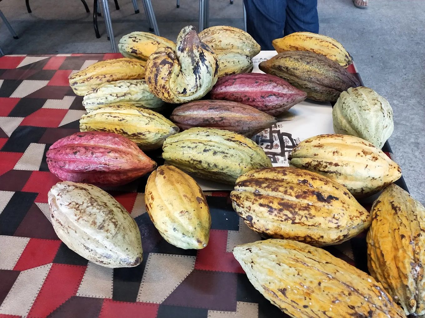 【2025南投巧克力咖啡節全攻略】甜點控必訪！精選人氣巧克力品牌＆咖啡體驗一次看