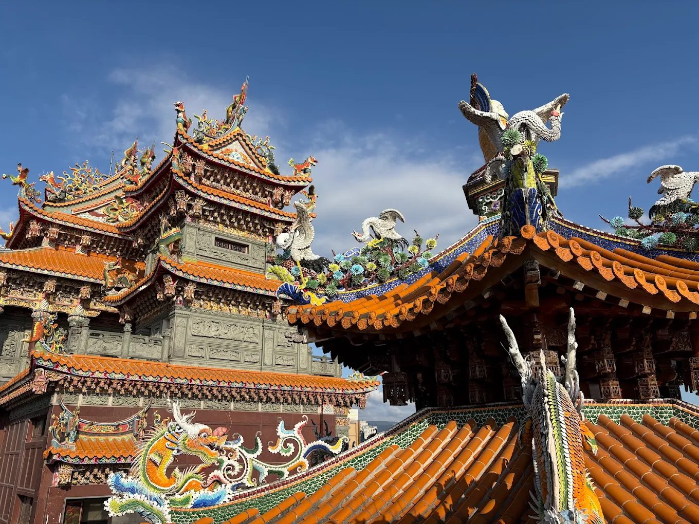 關渡花海的必訪理由：讓你不再錯過的景點