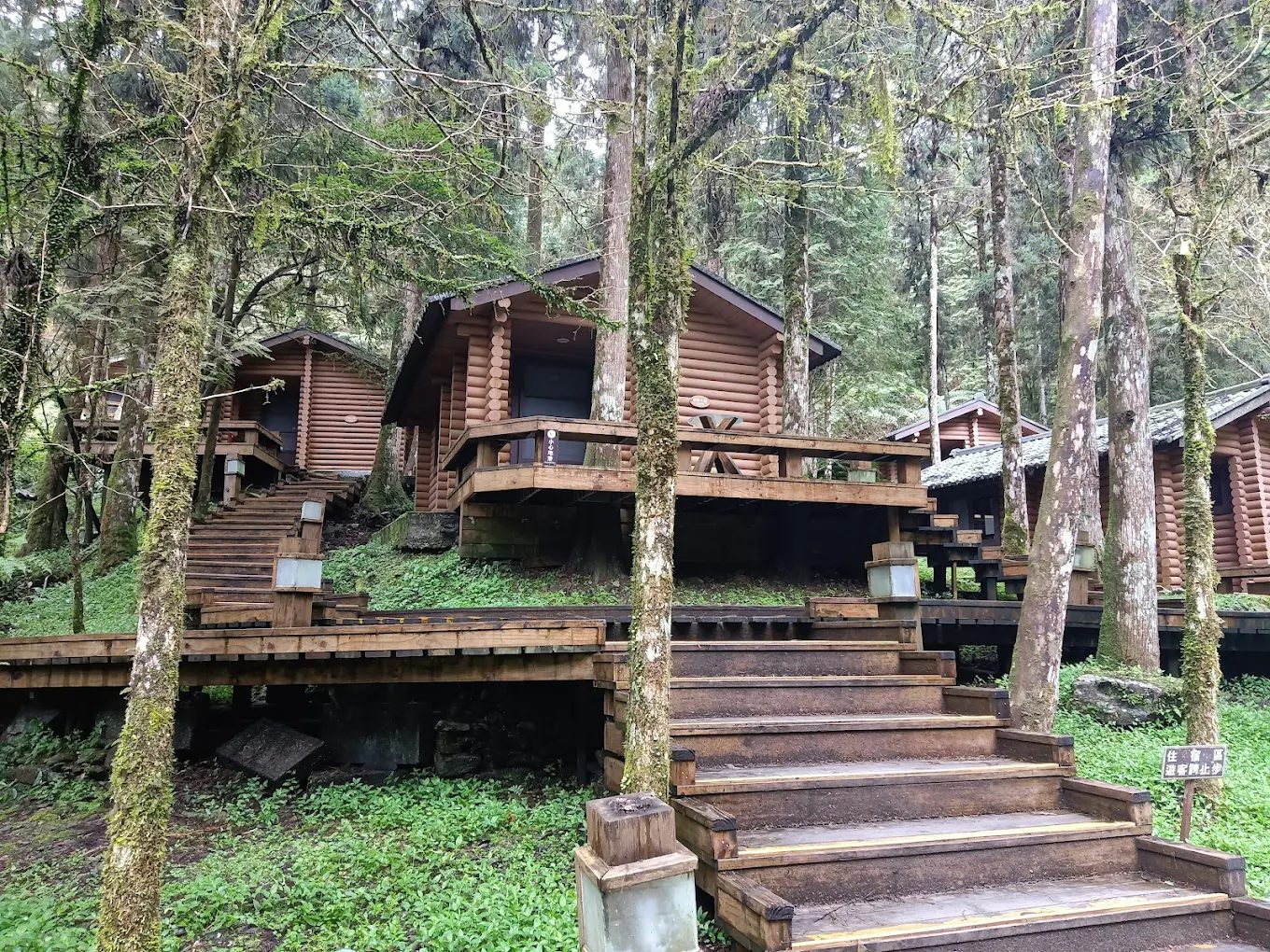 探索馬告生態園區的美麗與奧秘:最佳遊玩攻略