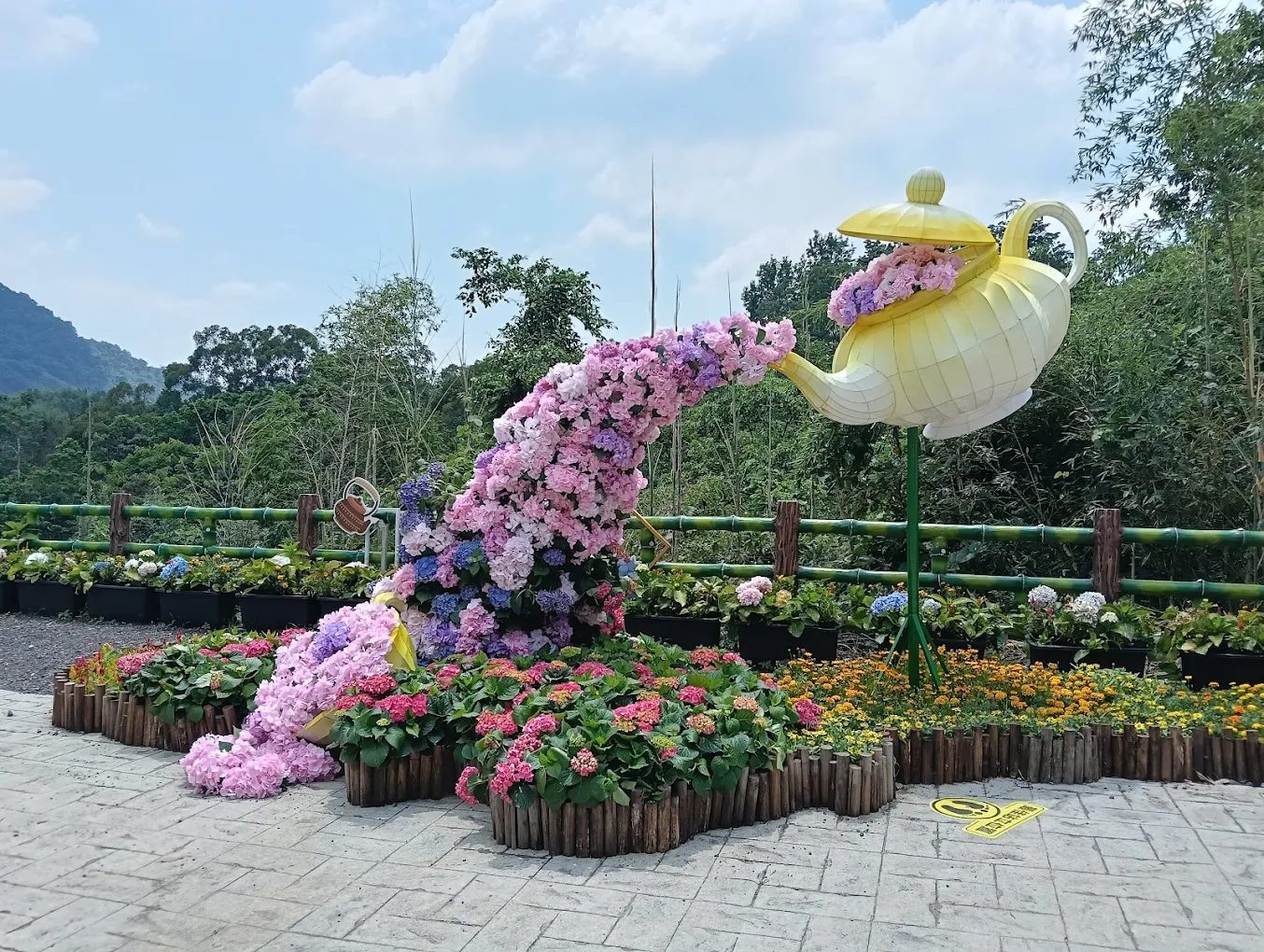 【2025桃園繡球花季】夢幻賞花景點推薦｜免費入園、親子體驗、花海野餐全收錄！