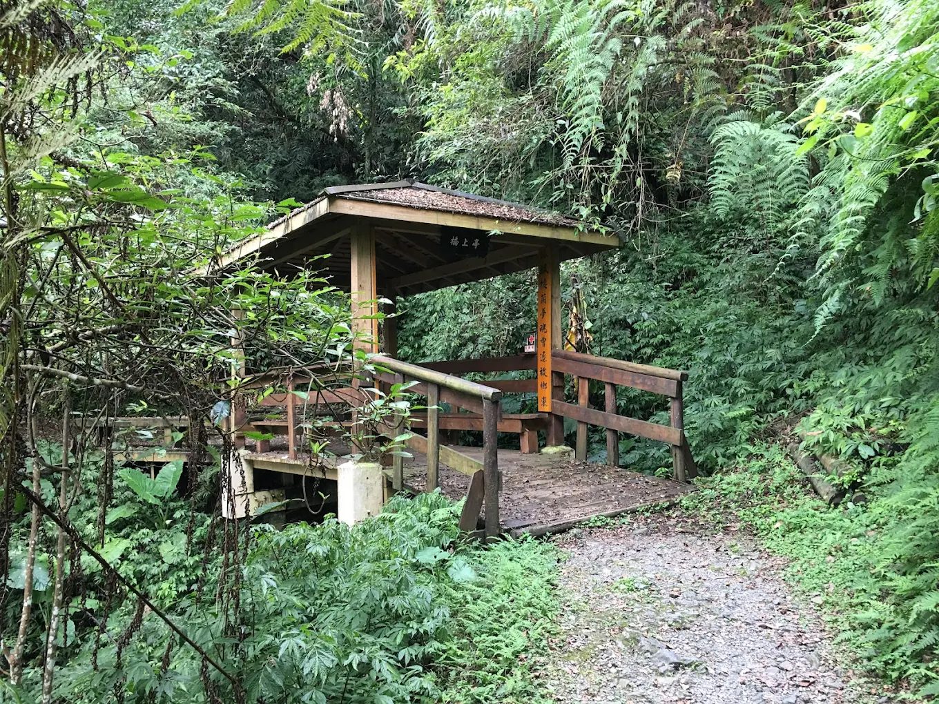 探索馬告生態園區的美麗與奧秘:最佳遊玩攻略