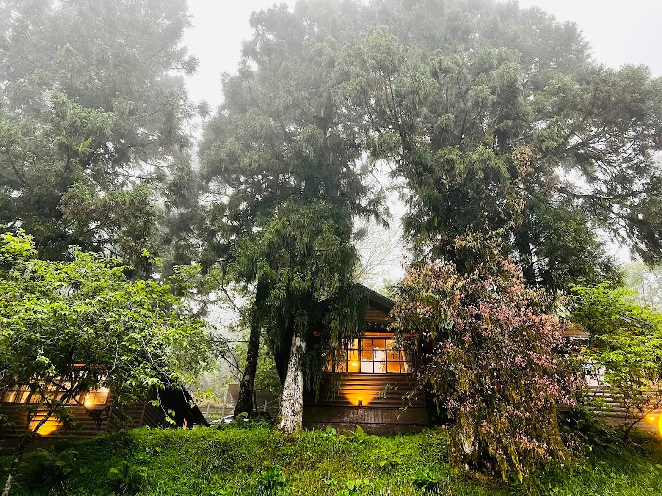 探索馬告生態園區的美麗與奧秘:最佳遊玩攻略