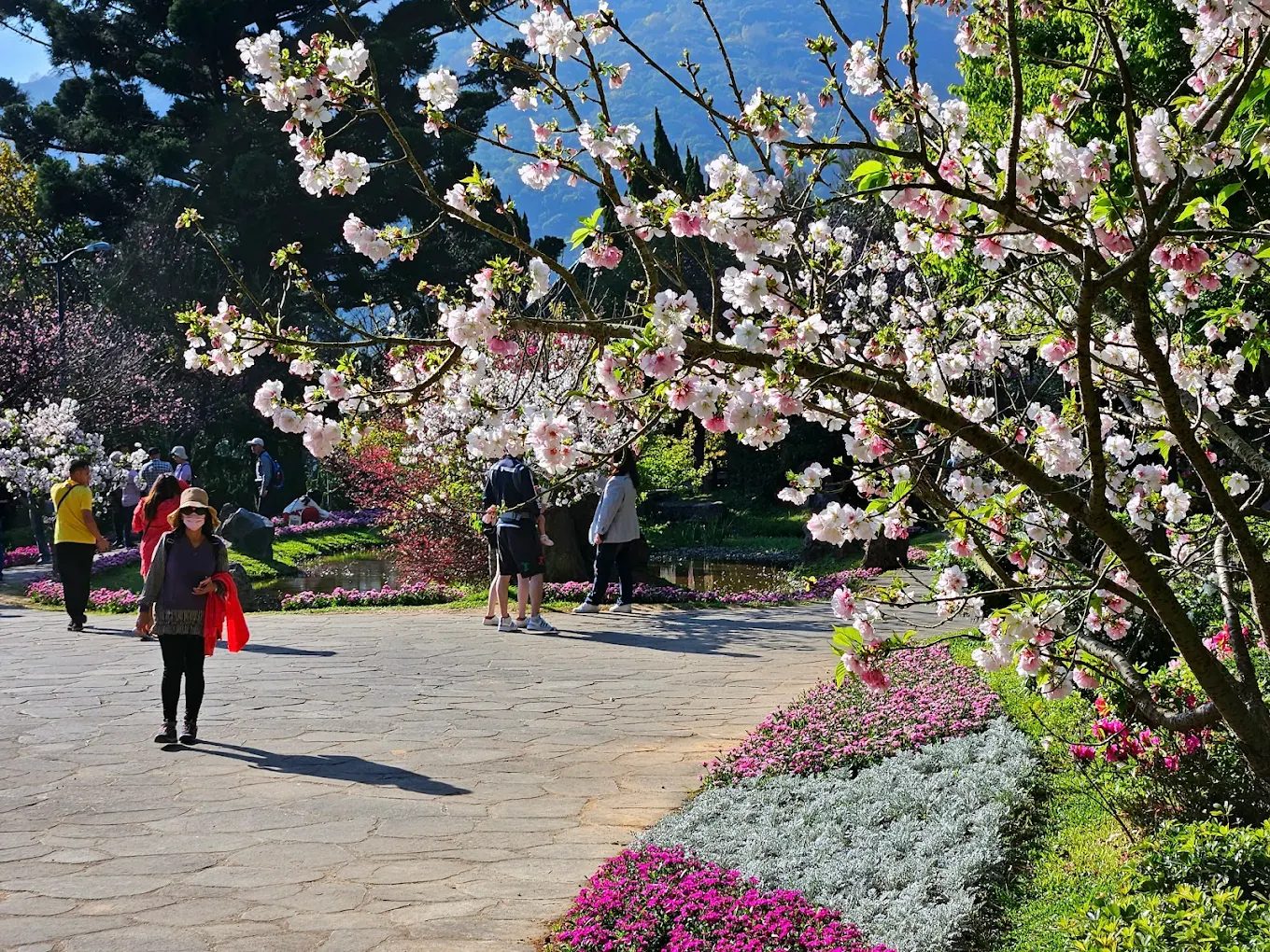 整齊規劃的陽明山花鐘停車場