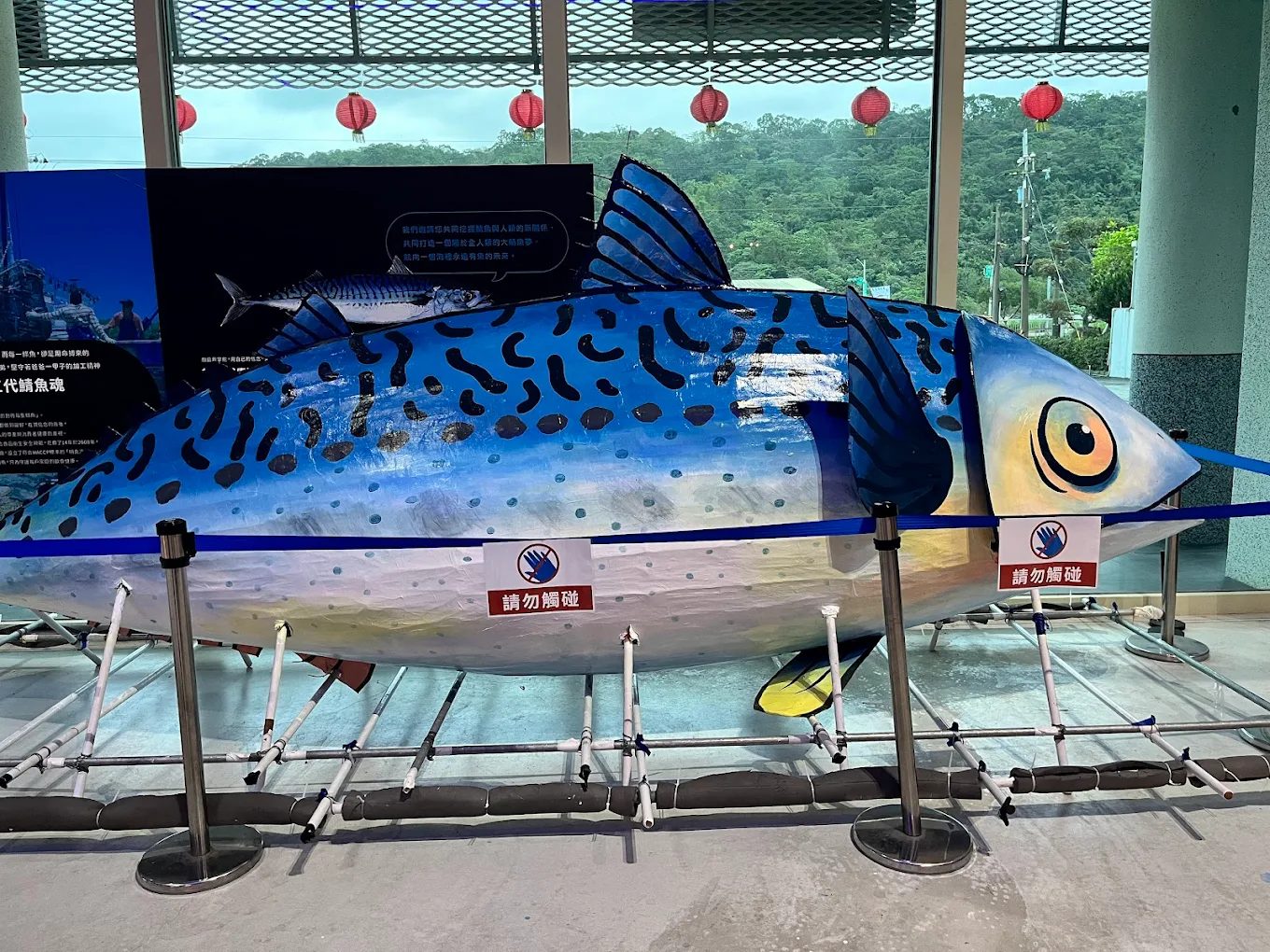 宜蘭景點推薦：探索忍者村、望龍埤和大鯖魚夢工廠的最佳體驗