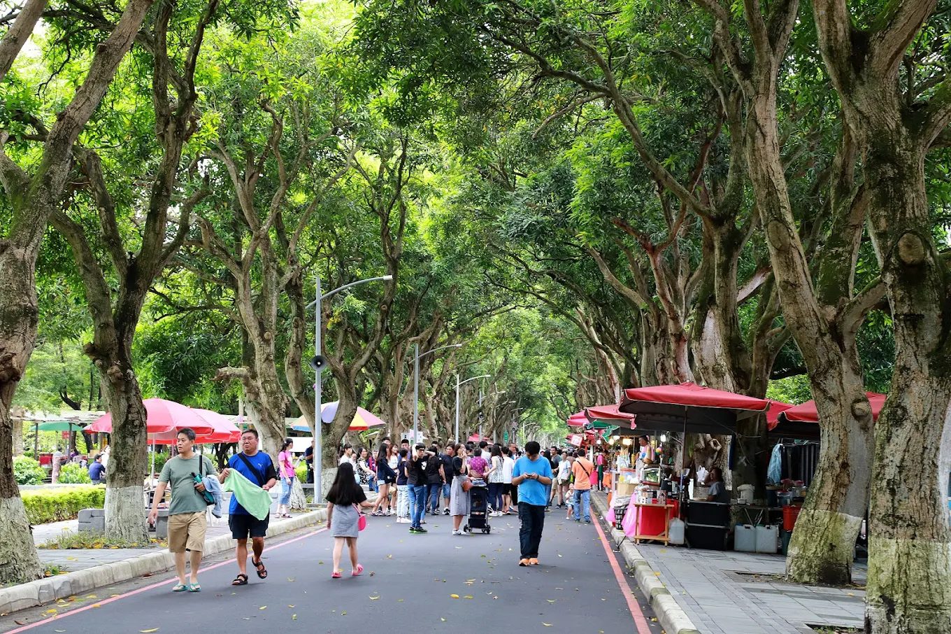 探索雲林景點：不容錯過的必訪之地
