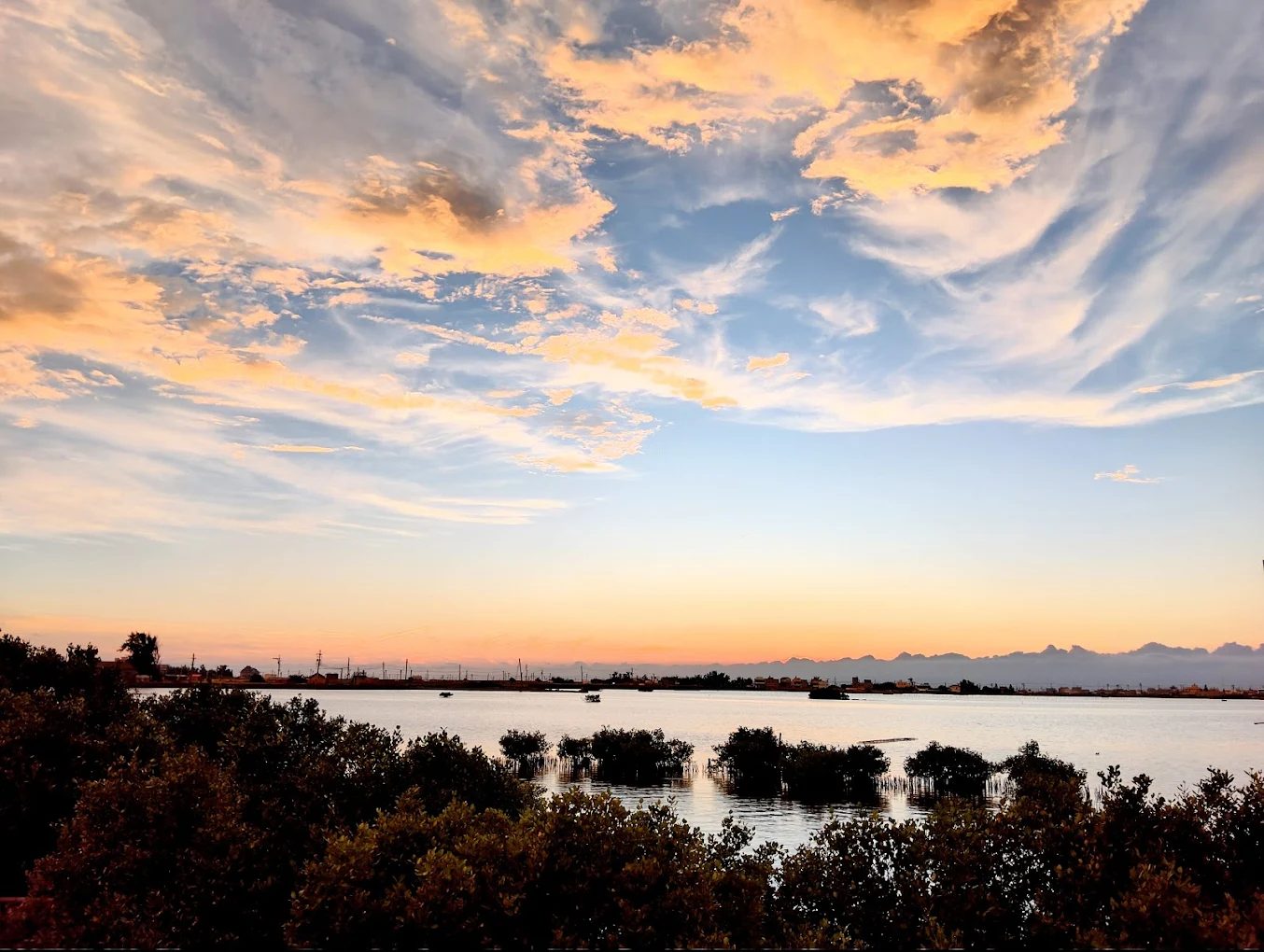 成龍濕地旅遊全攻略｜觀景台、海鮮餐廳、親子活動與藝術裝置一次看！