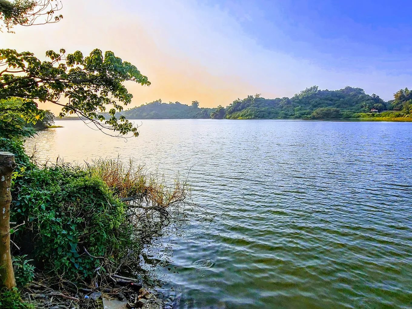 高雄秘境健行推薦｜觀音湖環湖步道×觀音山登山路線，親子旅遊、生態體驗一次滿足！