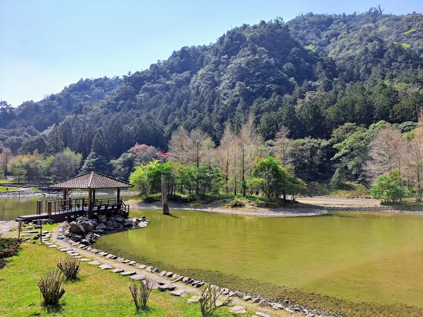 宜蘭明池避暑全攻略｜明池山莊住宿體驗、神木秘境與森林饗宴一次看

