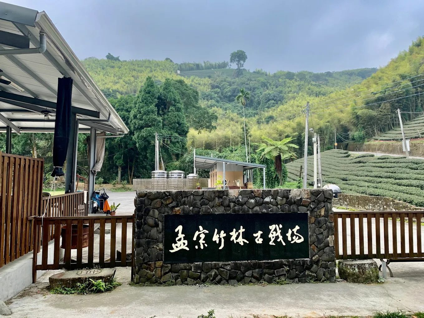 溪頭自然教育園區一日遊攻略｜森林步道、神木秘境、美食住宿一次掌握